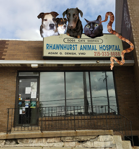 Best Vets in PhiladelphiaRhawnhurst Animal Hospital Total Vet Best Vets in Philadelphia Rhawnhurst Animal Hospital