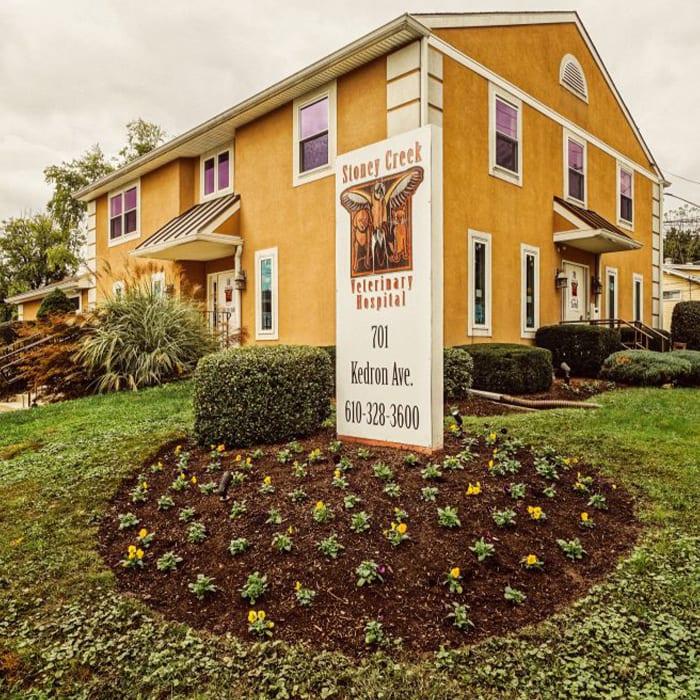 Best Vets in PhiladelphiaStoney Creek Veterinary Hospital Total Vet Best Vets in Philadelphia Stoney Creek Veterinary Hospital