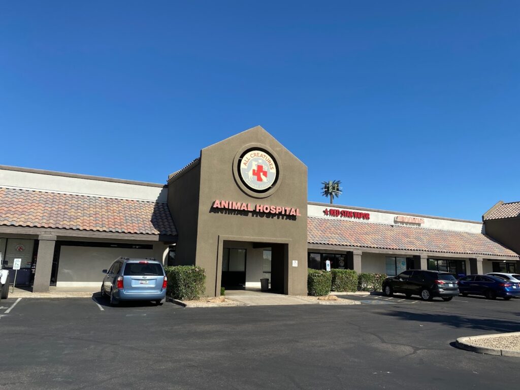 Best Vets in PhoenixAll Creatures Animal Clinic Total Vet Best Vets in Phoenix All Creatures Animal Clinic