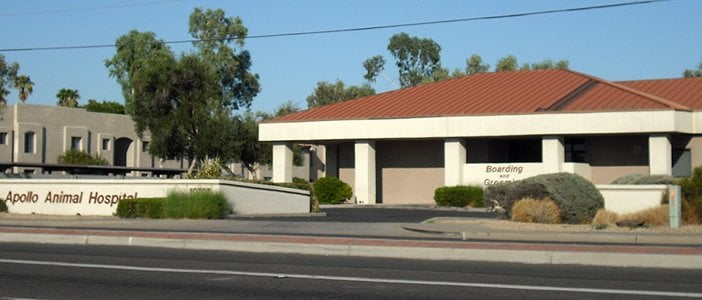 Best Vets in PhoenixApollo Animal Hospital Total Vet Best Vets in Phoenix Apollo Animal Hospital