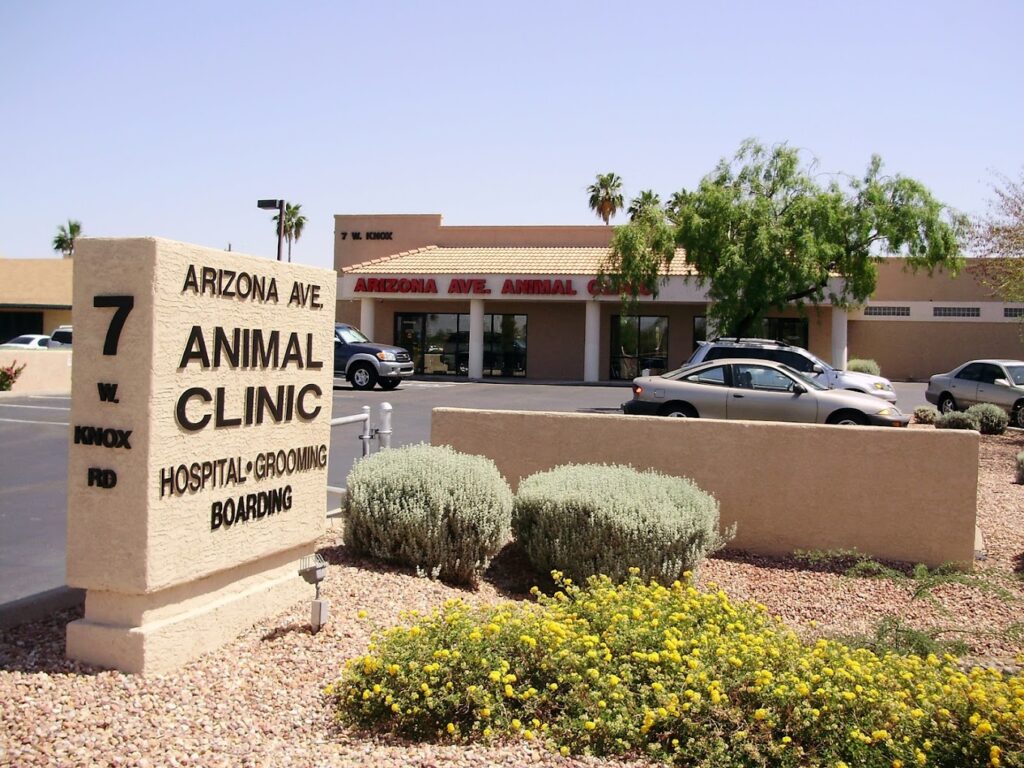 Best Vets in PhoenixArizona Avenue Animal Clinic Total Vet Best Vets in Phoenix Arizona Avenue Animal Clinic