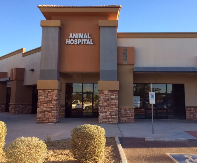 Best Vets in PhoenixDesert Sky Animal Hospital Total Vet Best Vets in Phoenix Desert Sky Animal Hospital