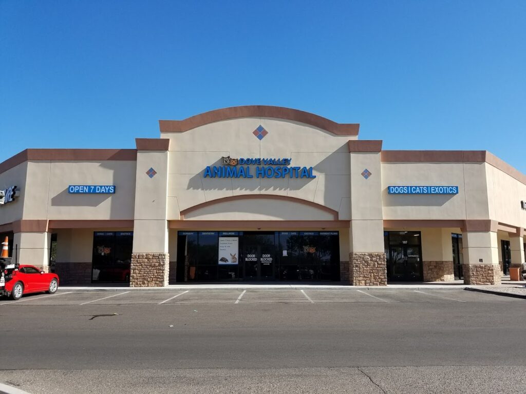Best Vets in PhoenixDove Valley Animal Hospital Total Vet Best Vets in Phoenix Dove Valley Animal Hospital