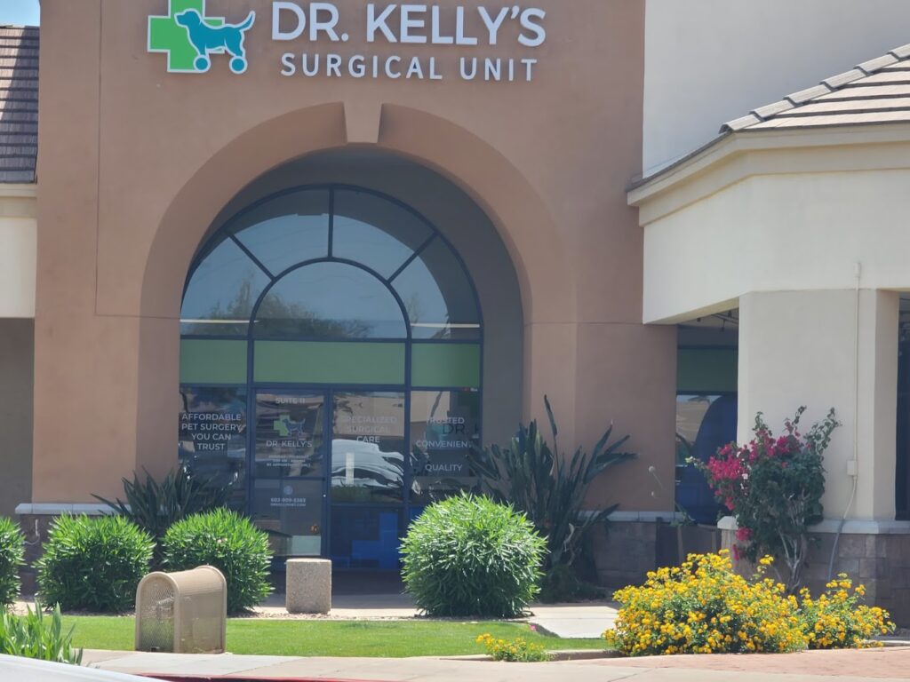 Best Vets in PhoenixDr Kellys Surgical Unit Total Vet Best Vets in Phoenix Dr Kellys Surgical Unit