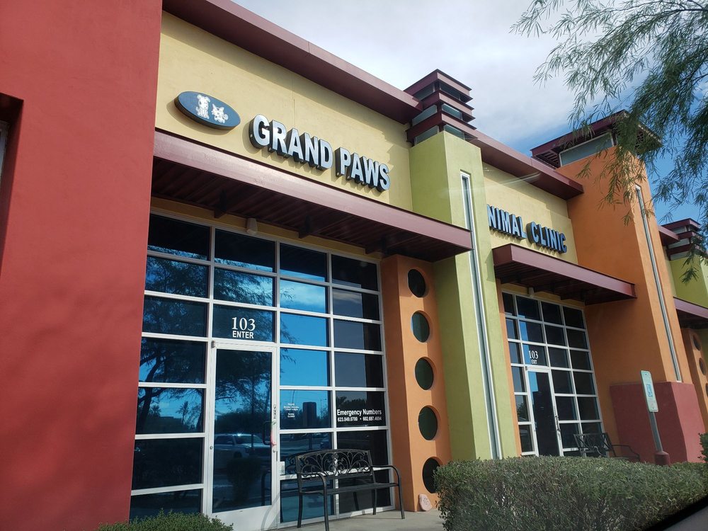 Best Vets in PhoenixGrand Paws Animal Clinic Total Vet Best Vets in Phoenix Grand Paws Animal Clinic