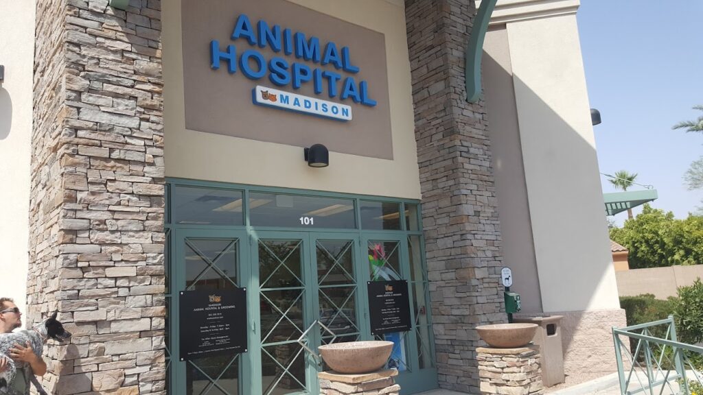 Best Vets in PhoenixMadison Animal Hospital Grooming Total Vet Best Vets in Phoenix Madison Animal Hospital Grooming