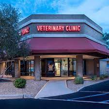 Best Vets in PhoenixTopaz Veterinary Clinic Total Vet Best Vets in Phoenix Topaz Veterinary Clinic