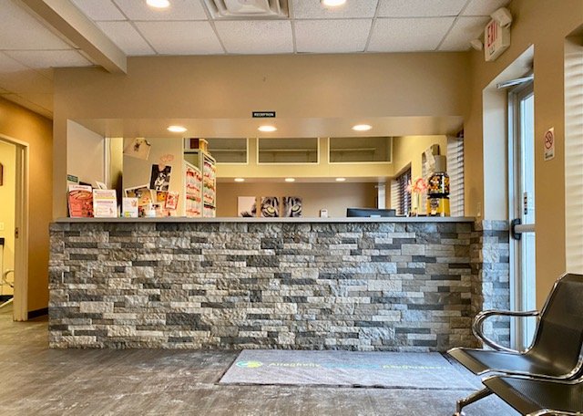 Best Vets in PittsburghAllegheny Veterinary Associates Total Vet Best Vets in Pittsburgh Allegheny Veterinary Associates