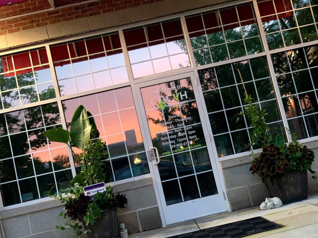 Best Vets in PittsburghCranberry Veterinary Hospital Total Vet Best Vets in Pittsburgh Cranberry Veterinary Hospital