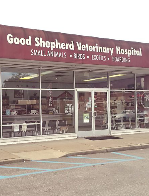 Best Vets in PittsburghGood Shepherd Veterinary Hospital Total Vet Best Vets in Pittsburgh Good Shepherd Veterinary Hospital