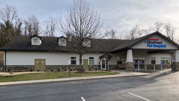 Best Vets in PittsburghWerntz Memorial Animal Hospital Total Vet Best Vets in Pittsburgh Werntz Memorial Animal Hospital