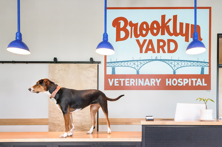 Best Vets in PortlandBrooklyn Yard Veterinary Hospital Total Vet Best Vets in Portland Brooklyn Yard Veterinary Hospital
