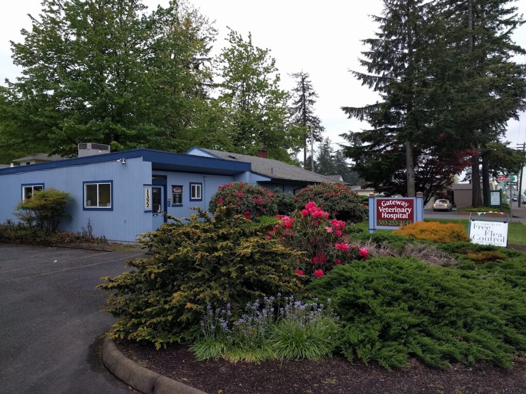 Best Vets in PortlandGateway Veterinary Hospital Total Vet Best Vets in Portland Gateway Veterinary Hospital