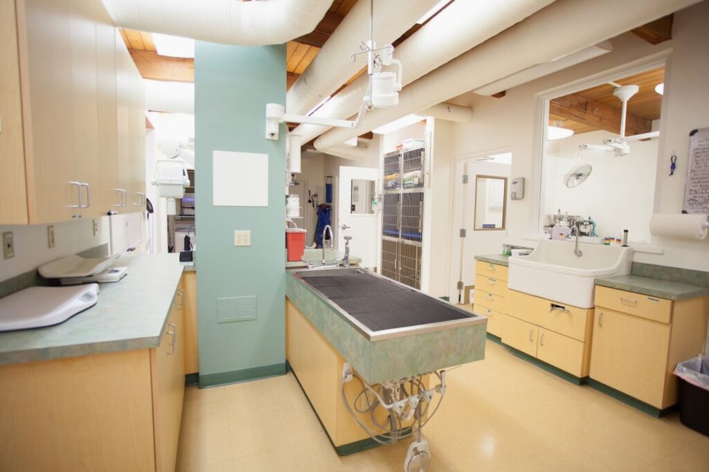 Best Vets in PortlandHillsdale Veterinary Hospital Total Vet Best Vets in Portland Hillsdale Veterinary Hospital