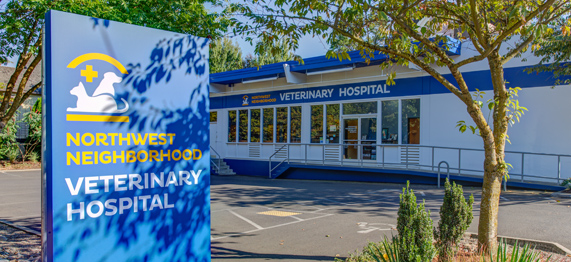 Best Vets in PortlandNorthwest Neighborhood Veterinary Hospital Total Vet Best Vets in Portland Northwest Neighborhood Veterinary Hospital