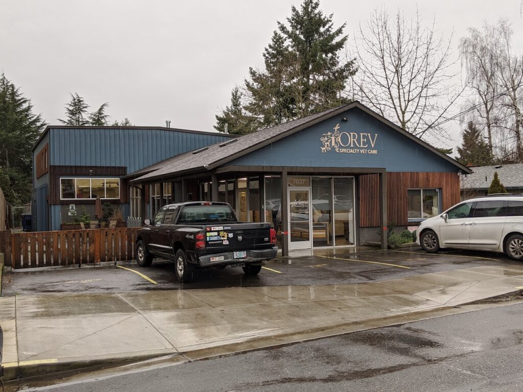 Best Vets in PortlandOREV Specialty Vet Care Total Vet Best Vets in Portland OREV Specialty Vet Care