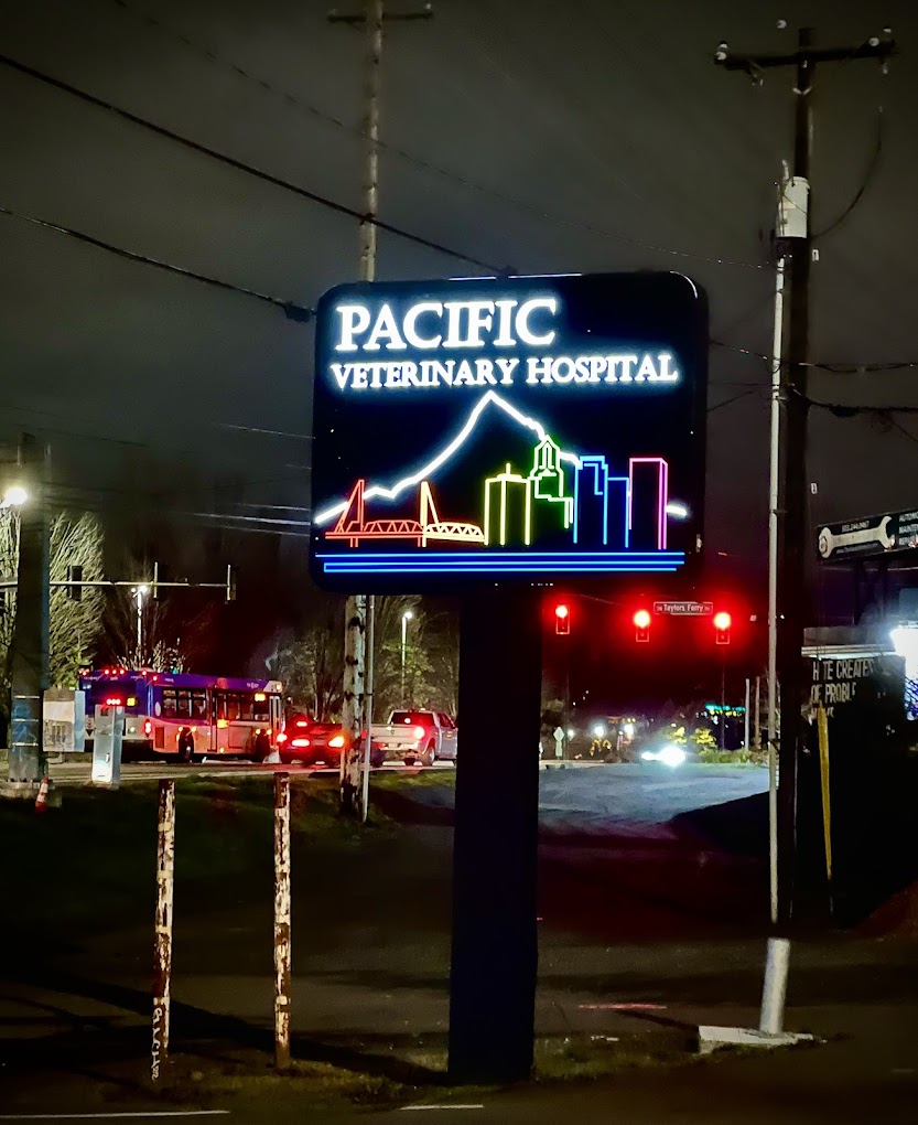 Best Vets in PortlandPacific Veterinary Hospital Total Vet Best Vets in Portland Pacific Veterinary Hospital