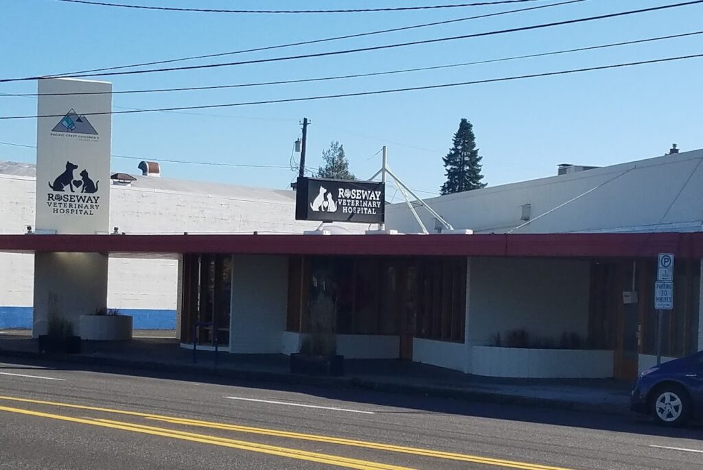 Best Vets in PortlandRoseway Veterinary Hospital Total Vet Best Vets in Portland Roseway Veterinary Hospital