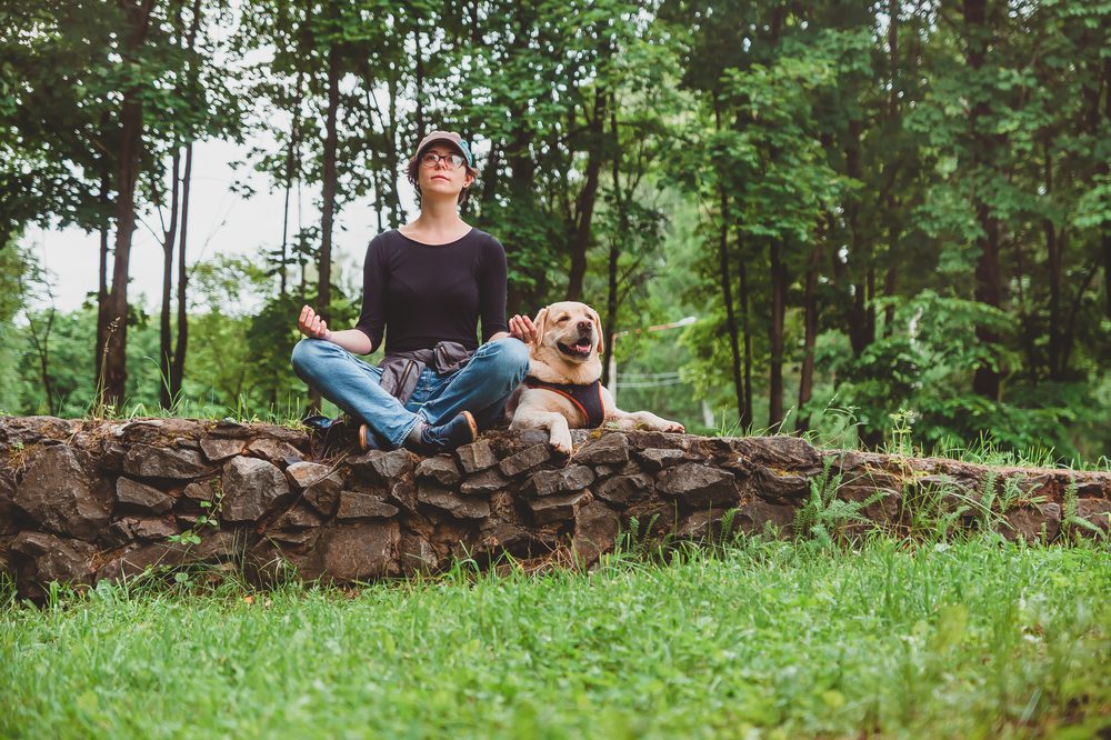 Total Vet Atopica Alternatives for Dogs