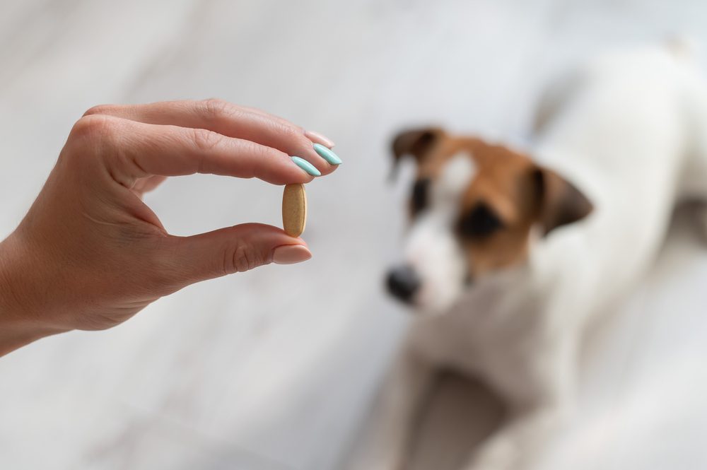 Total Vet Atopica Dosage for Dogs