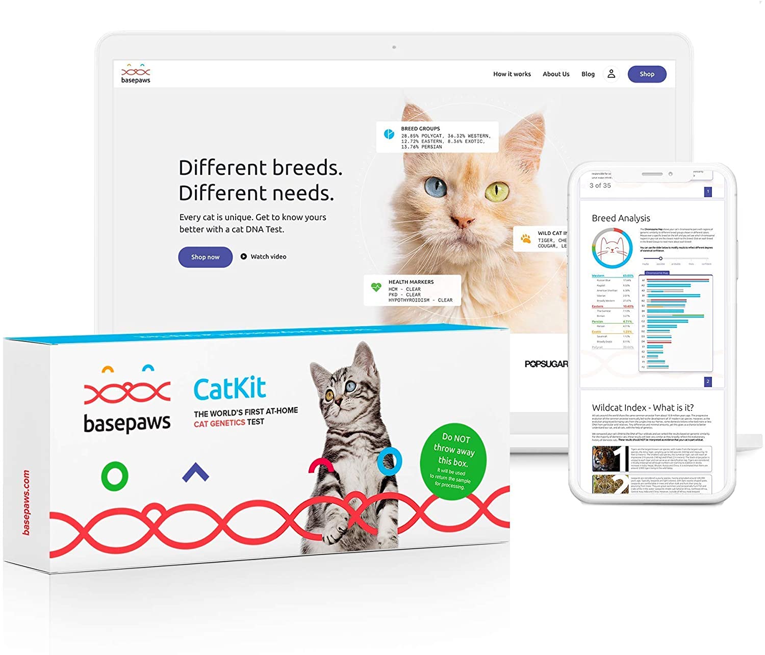 DogDachshundBlackAndTanRelaxedFromSpaProceduresOn Total Vet Basepaws Cat DNA Test Kit