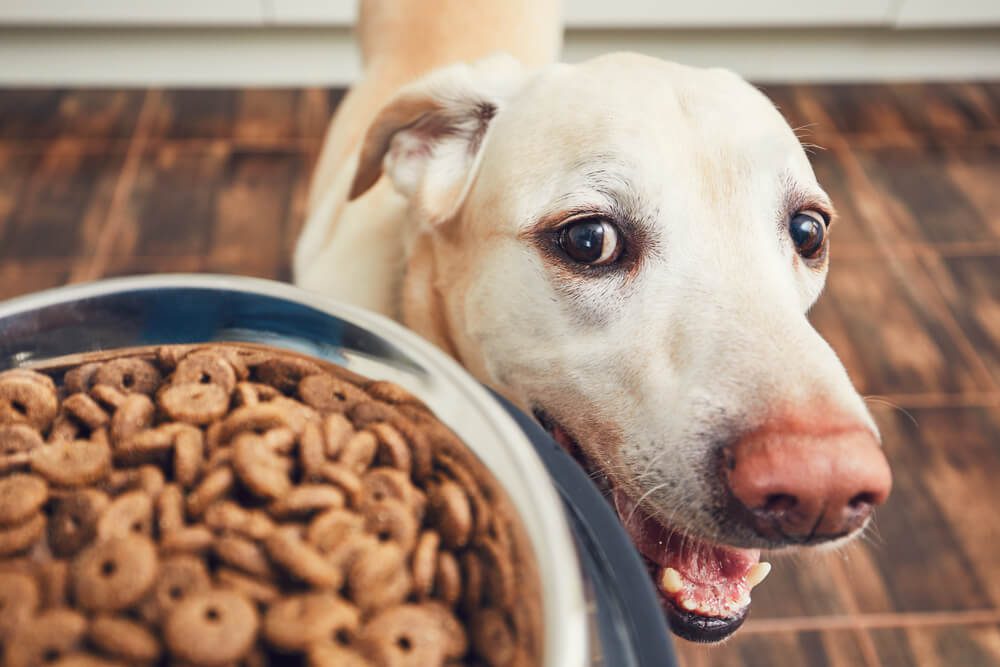 BullyMaxDogFoodReviewedProsConsandIngredientAnalysis Total Vet Bully Max Dog Food