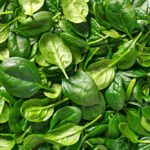 can dogs eat spinach