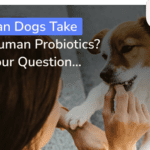 are human probiotics for dogs safe