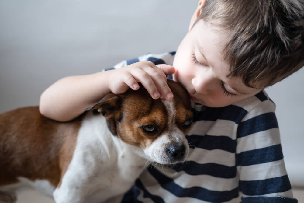 Total Vet Can I Prevent Dog Separation Anxiety