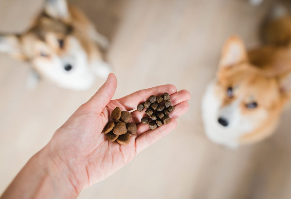 Total Vet Thoughts on Authority Dog Food