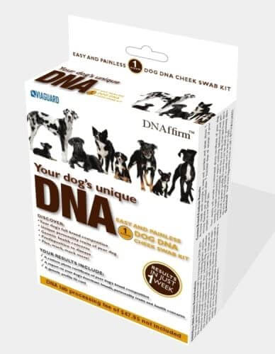 DNAffirm Dog Breed DNA Test Kit