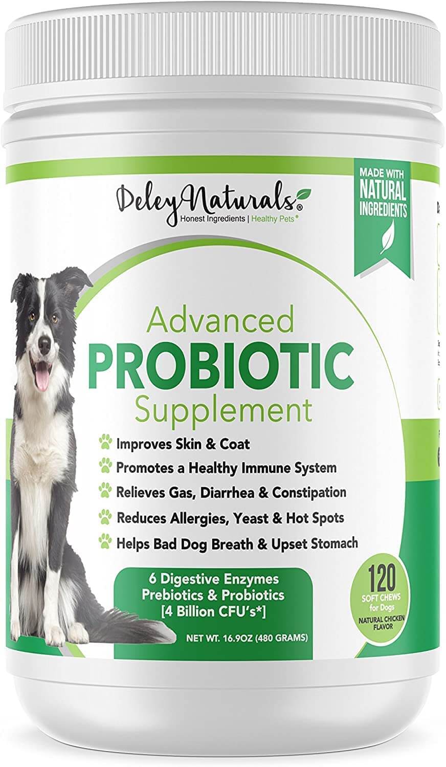 Total Vet probiotics for dogs with bad breath