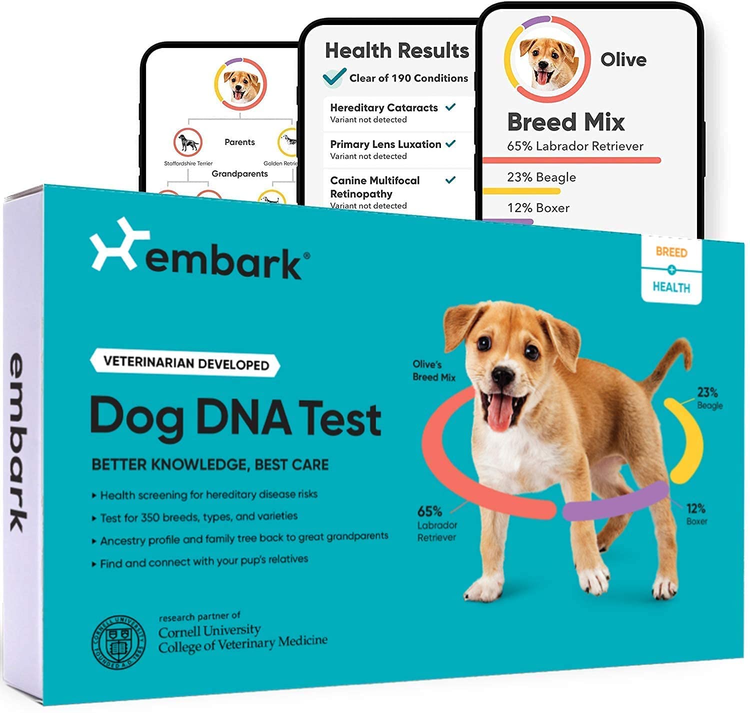 Embark Dog DNA Test Kit