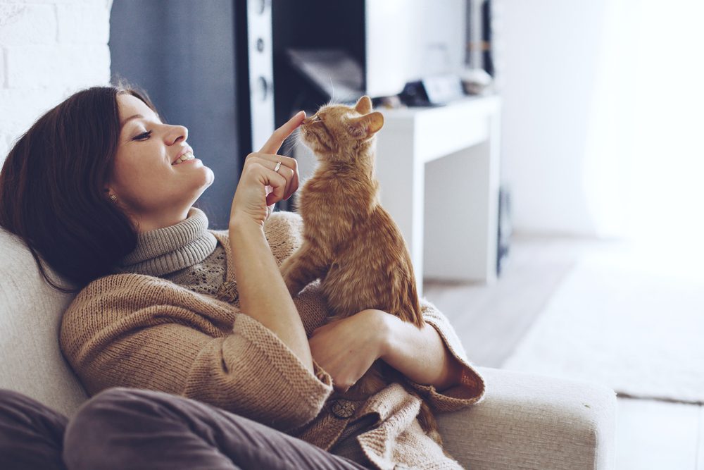 Total Vet girl sitting on a couch playing with a kitten