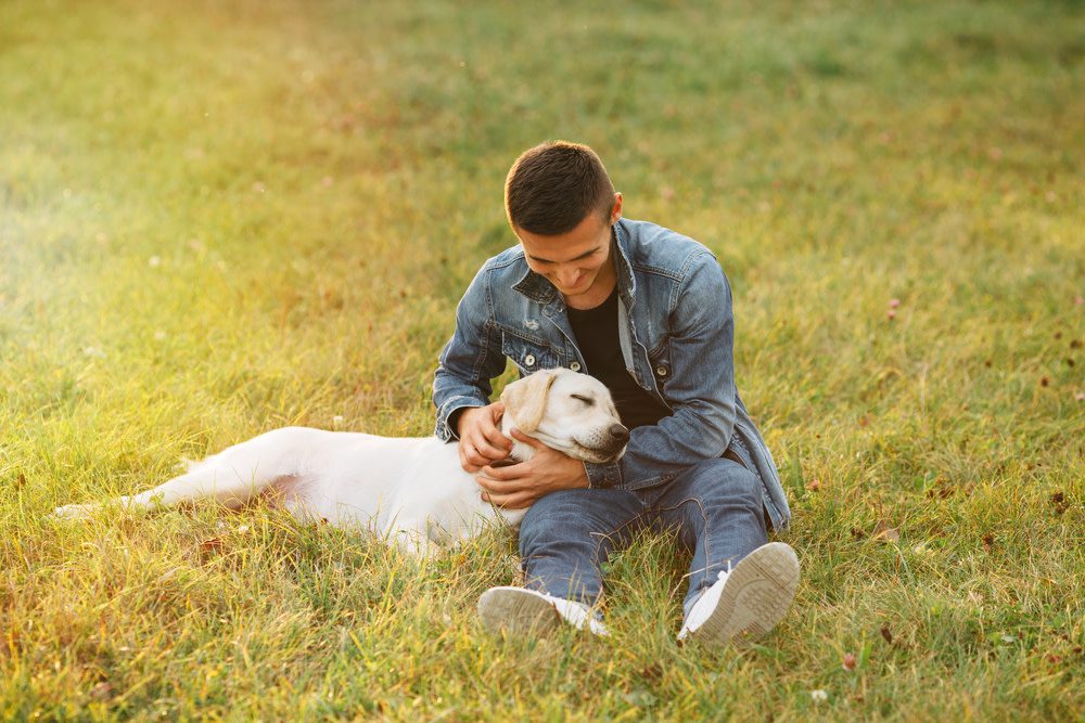 Healthy Dog Skin