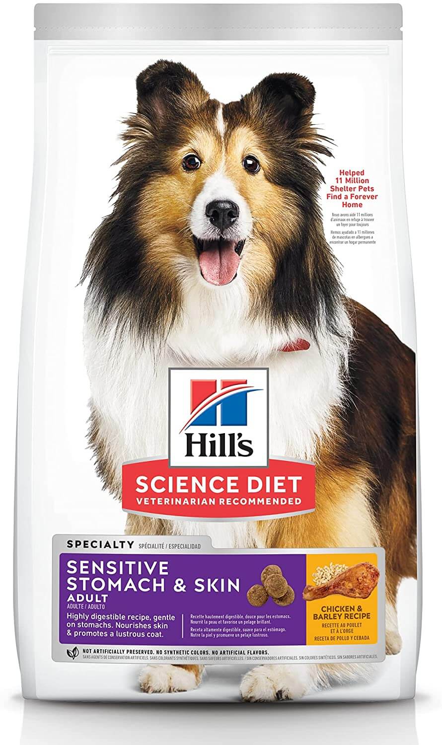 Hill's Science Diet Sensitive Stomach & Skin Dry Dog Food