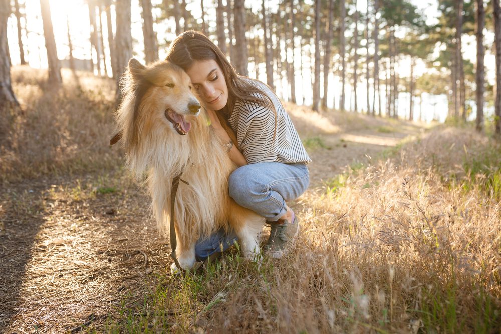 Total Vet How Long Can Dogs Live With Stomach Cancer
