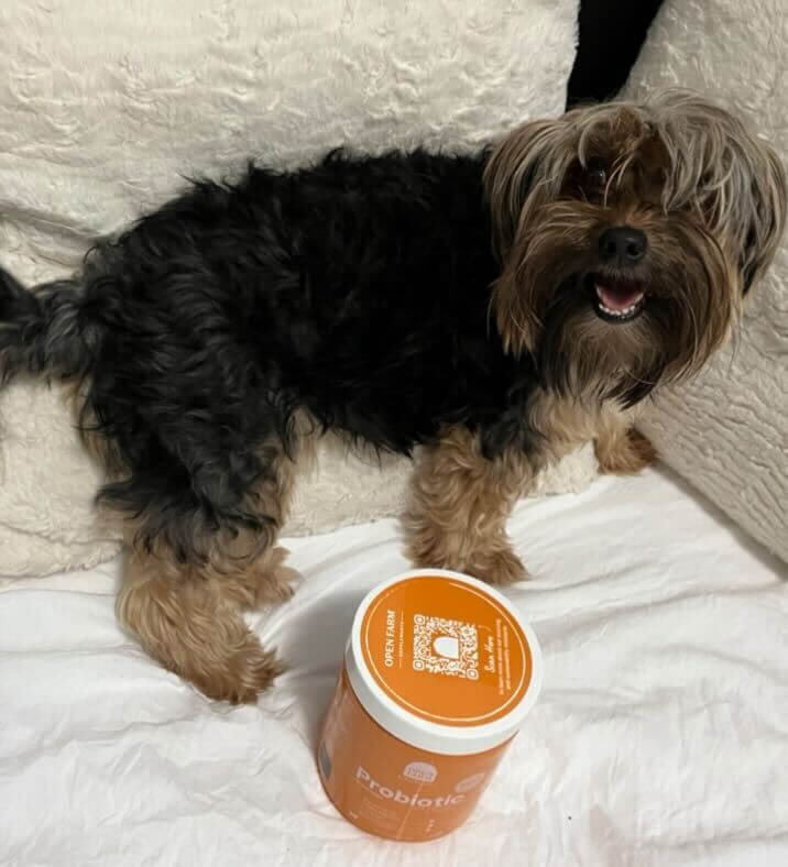 Total Vet What Did We Think of Open Farm Probiotics for Dogs