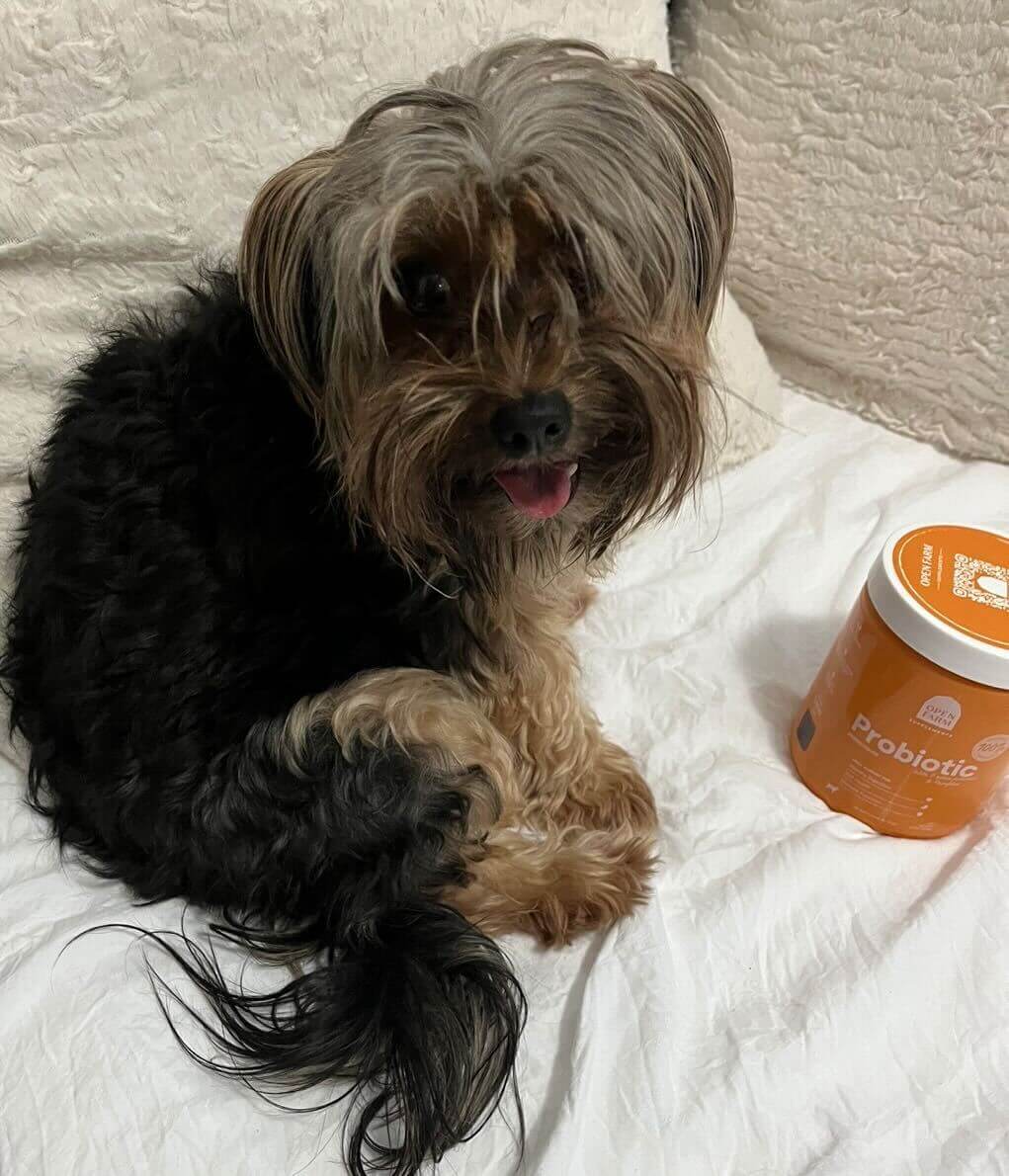 Total Vet How do Open Farm Probiotics for Dogs Work