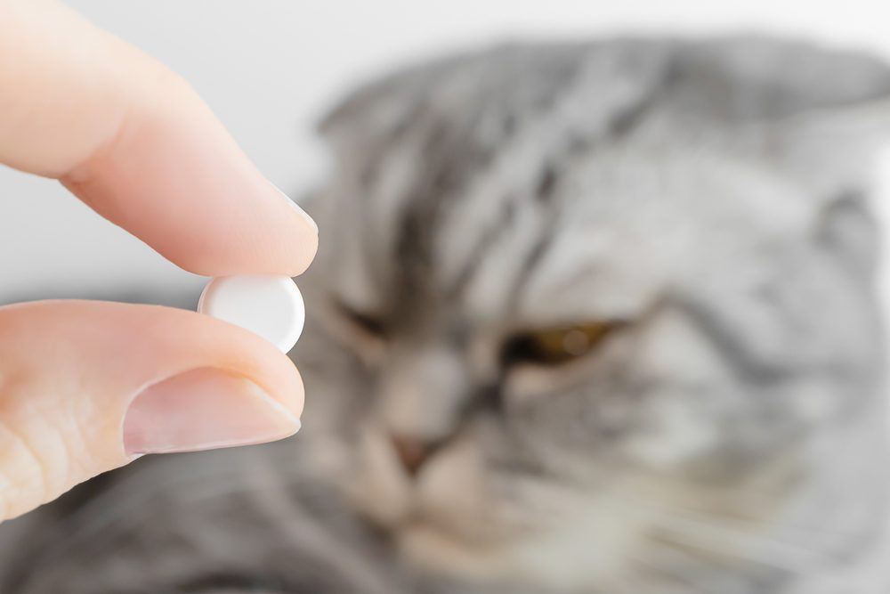 Total Vet Imodium Dosage for Cats