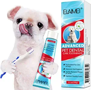 Total Vet Lily Beauty Mint Cat Toothpaste