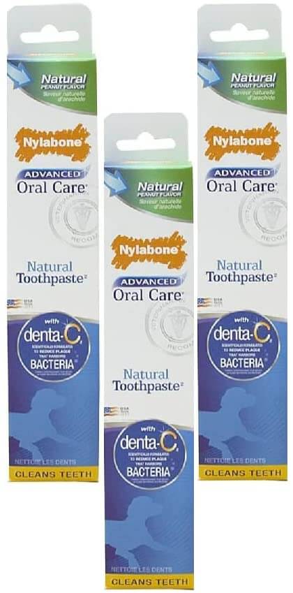 Total Vet Nylabone Advanced Oral Care Dog Toothpaste