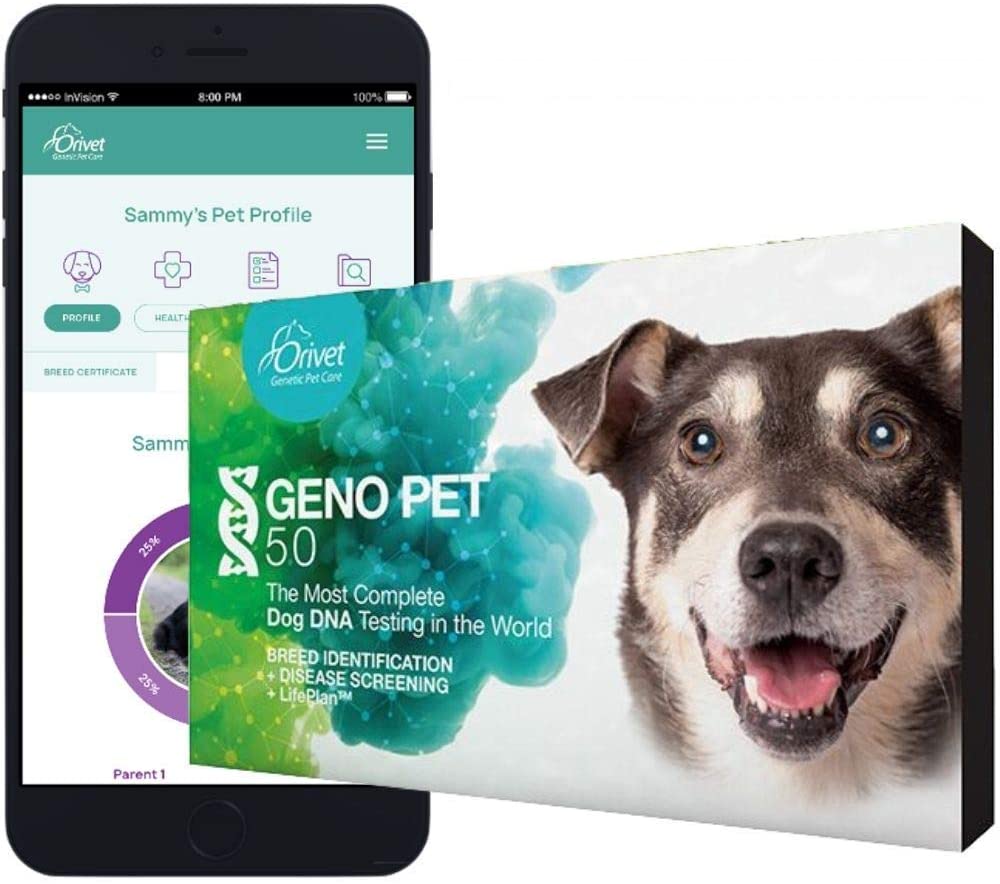 CoolarooTheOriginalElevatedPetBedwithReplacementCover Total Vet ORIVET Dog DNA Test