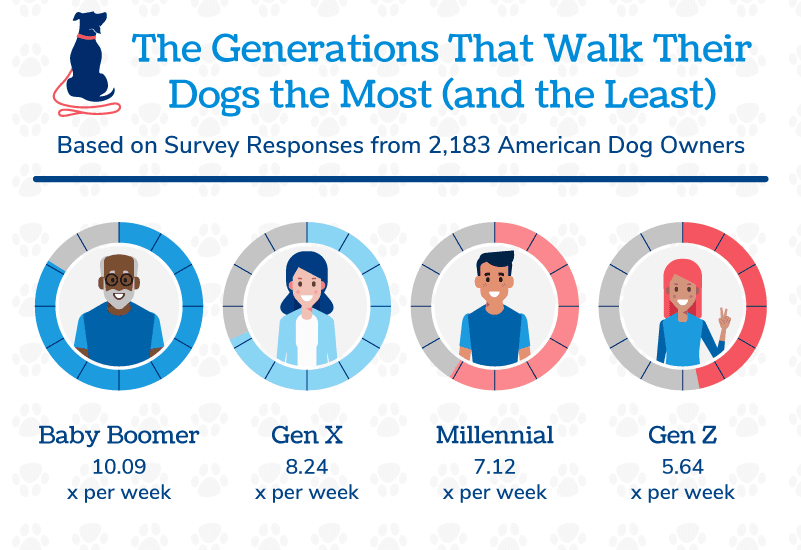 petspersonsframe Total Vet donut charts showing the generations that walk their dogs the most and the least