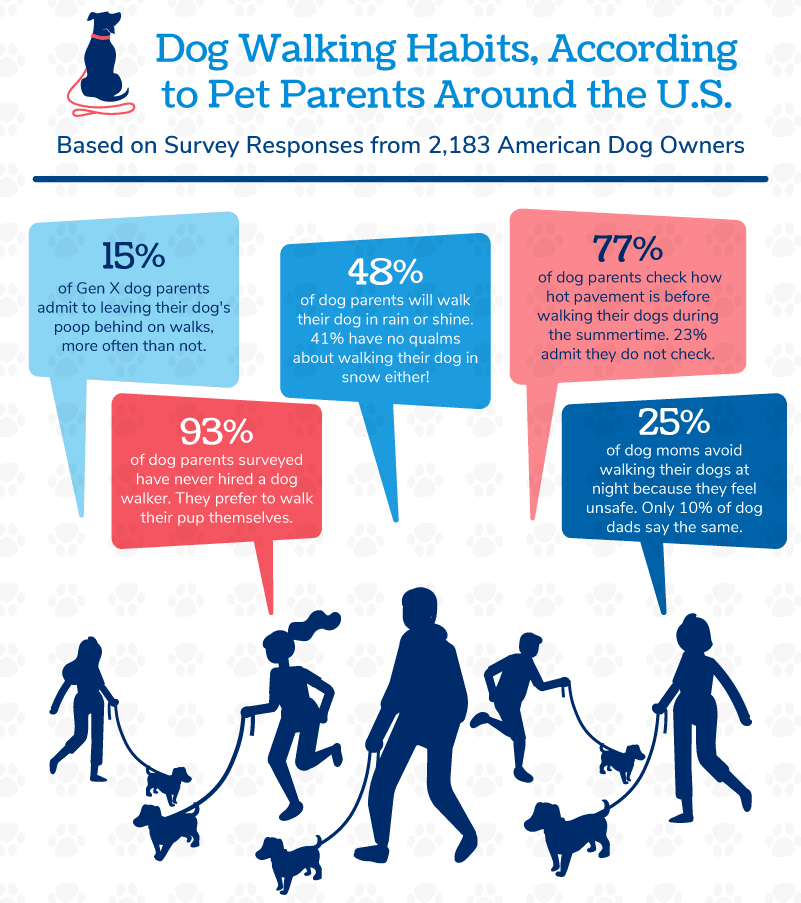 editorialindependence Total Vet an infographic highlighting dog walking habits of dog owners