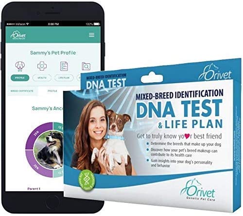 UozziBeddingPlushFauxFurRoundPetDogBed Total Vet Orivet Dog DNA Test