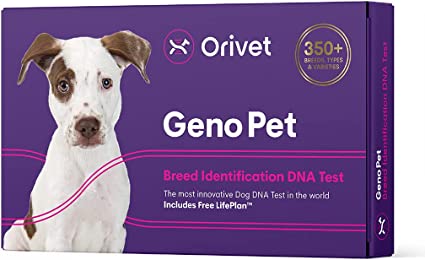 Total Vet Orivet Genopet Dog DNA Test