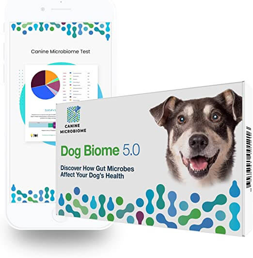 Total Vet Orivet Gut Microbiome Dog Biome DNA Test