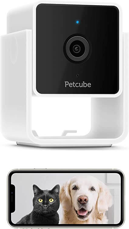 Total Vet Petcube Pet Collar Camera with Built in Vet Chat for Dogs and Cats