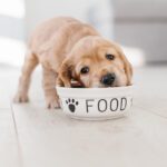 Purina Pro Plan